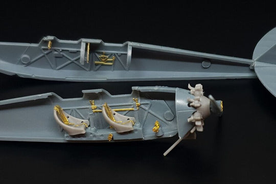 Caproni Ca.100