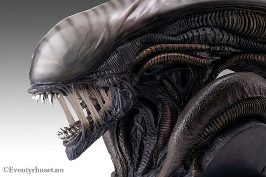 Alien Romulus Bust 1/1 Xenomorph 53 cm Collectibles