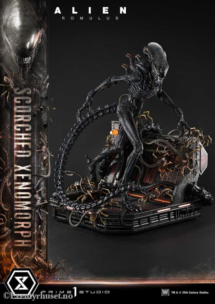 Alien: Romulus Museum Masterline XL Statue 1/3 Scorched Xenomorph Deluxe Bonus Version 98 cm Collectibles