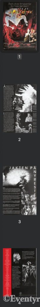 Download: Jakten På Nyresteinen. Unik Brosjyre 4 Sider Med Norsk Tekst. Digital Fil I Pdf-Format.