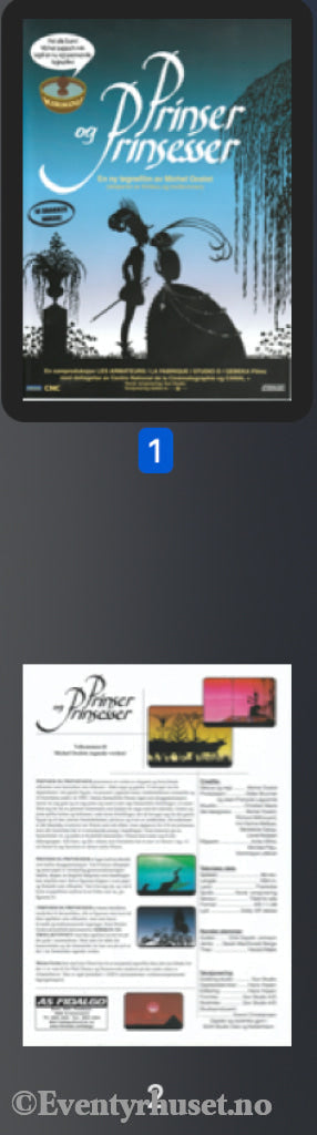 Download: Prinser Og Prinsesser. Unik Brosjyre På 2 Sider Med Norsk Tekst (Vaskeseddel). Digital Fil