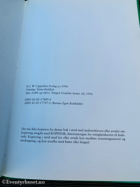 Grete Randsborg Jenseg & Tania Kjeldseth. 1998. Lillys Butikk. Fortelling