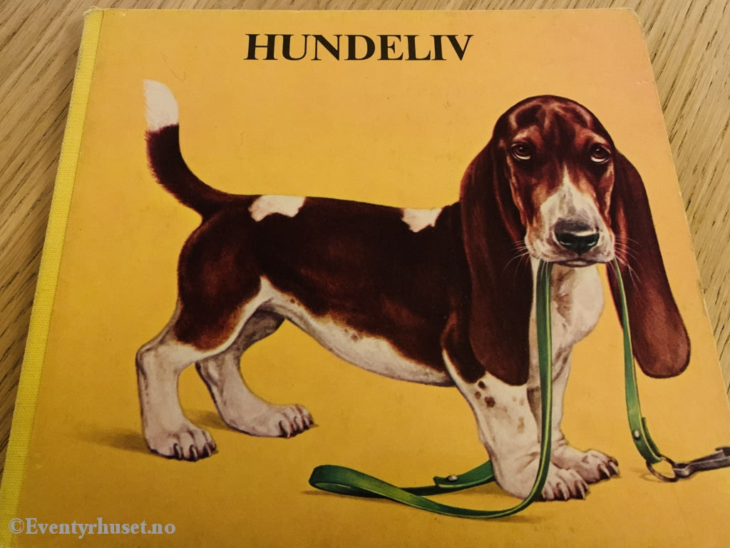 Hundeliv. Fortelling