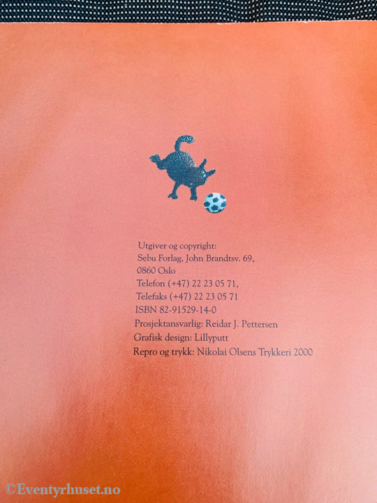 Linda Torgersen & Eldbjørg Ribe. 2000. Det Sinte Huset. Fortelling