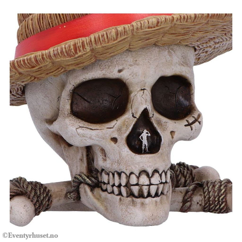 One Piece Storage Box Luffy Jolly Roger Home & Gifts