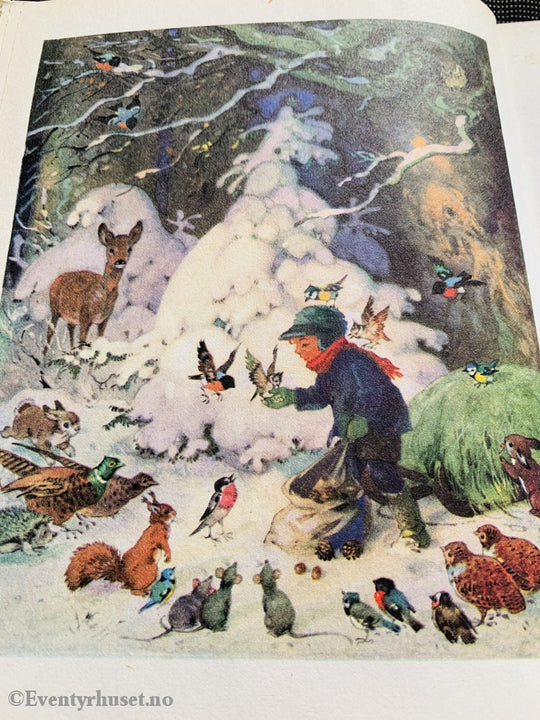På Eventyr I Tusseland. 1983. Fortelling