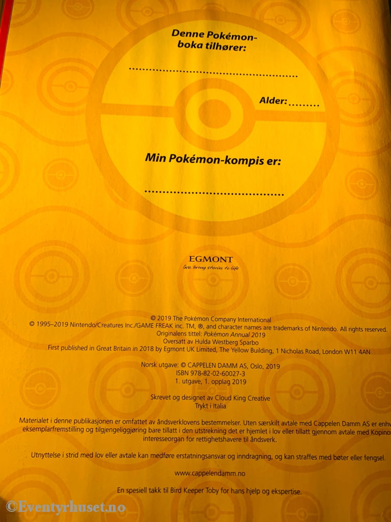 Pokémon - På Tokt Med Pikachu. Fortelling
