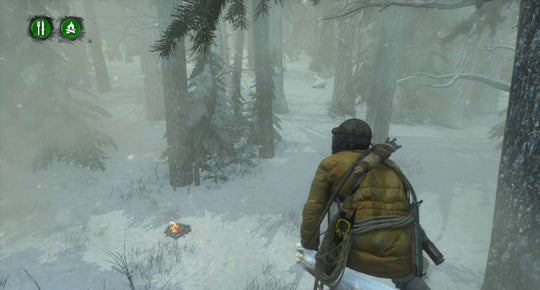 Rise of the Tomb Raider - Endurance Mode DLC Steam CD Key
