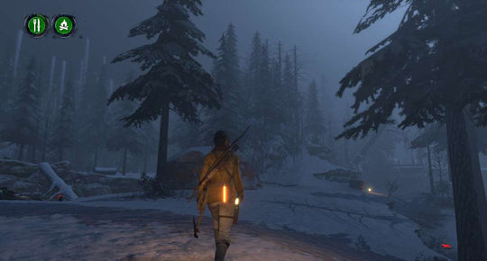 Rise of the Tomb Raider - Endurance Mode DLC Steam CD Key