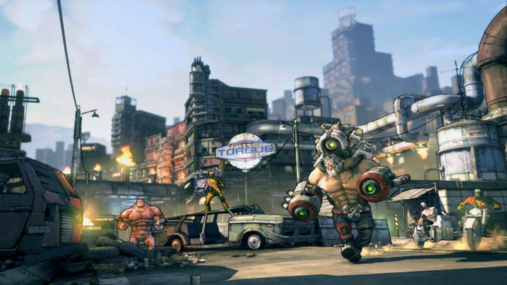 Borderlands 2 - Mr. Torgue's Campaign of Carnage DLC PC Steam CD Key
