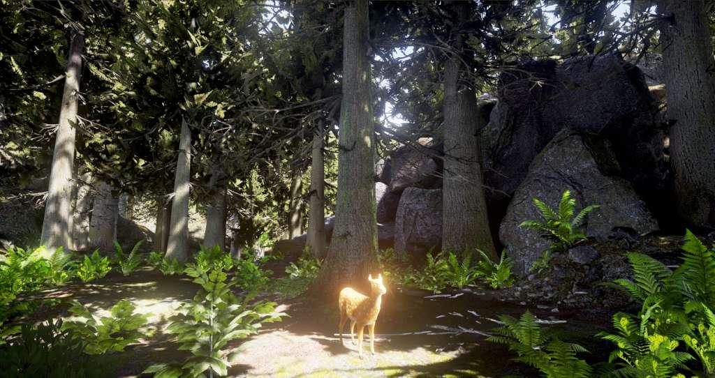 Survivalizm - The Animal Simulator Steam CD Key