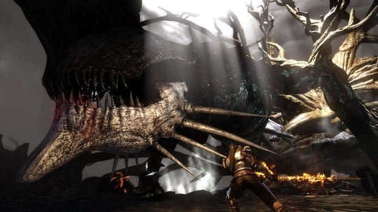 Bound By Flame EU Steam CD Key