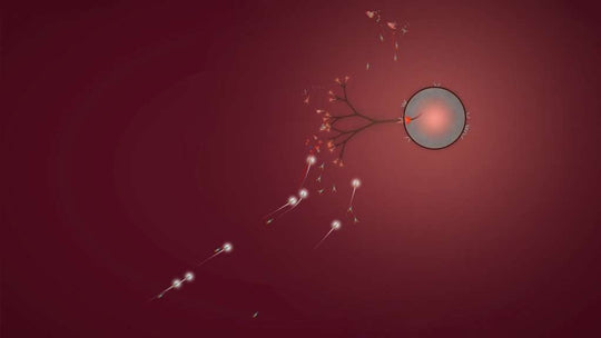 Eufloria HD Deluxe Edition PC Steam CD Key