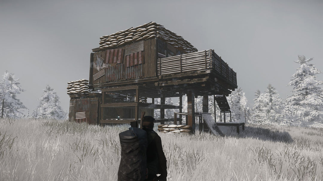 Miscreated Steam CD Key