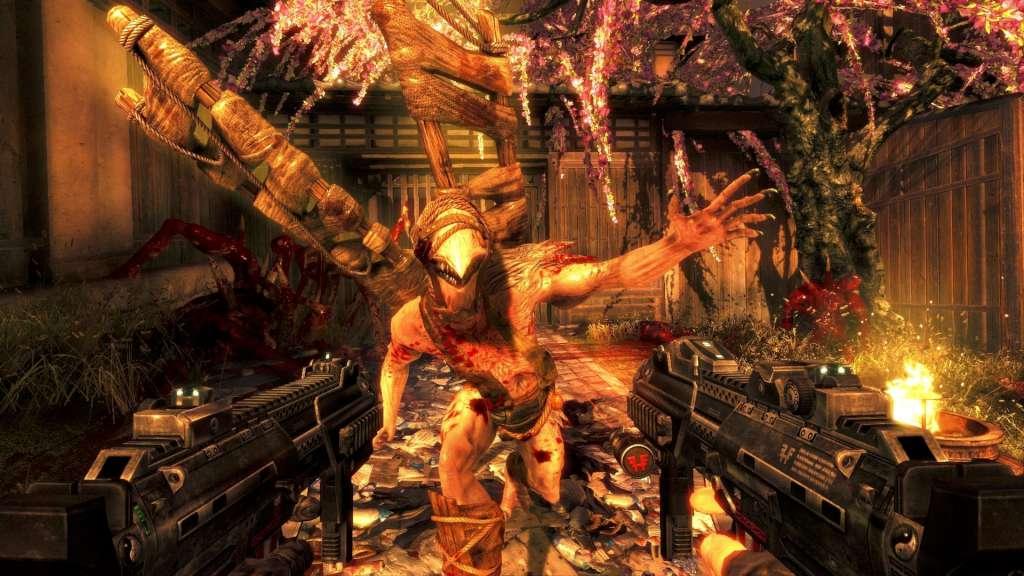 Shadow Warrior PC Steam CD Key