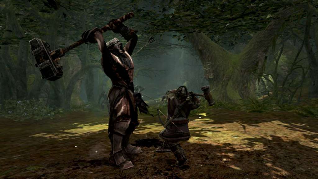 Lord of the Rings: War in the North PC Steam CD Key