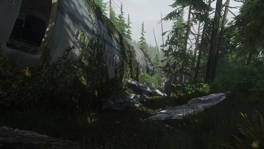Miscreated Steam CD Key
