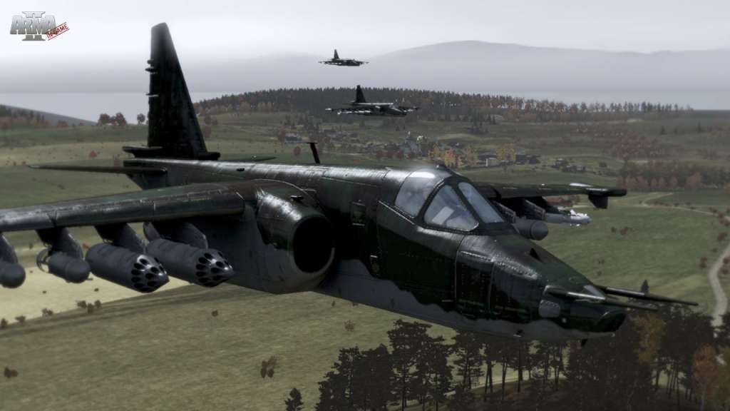 Arma II: Complete Collection PC Steam CD Key