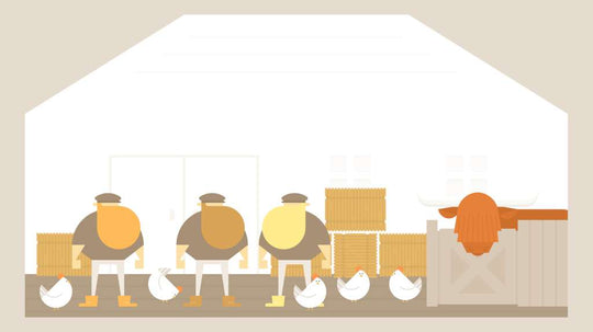 Burly Men at Sea Steam CD Key