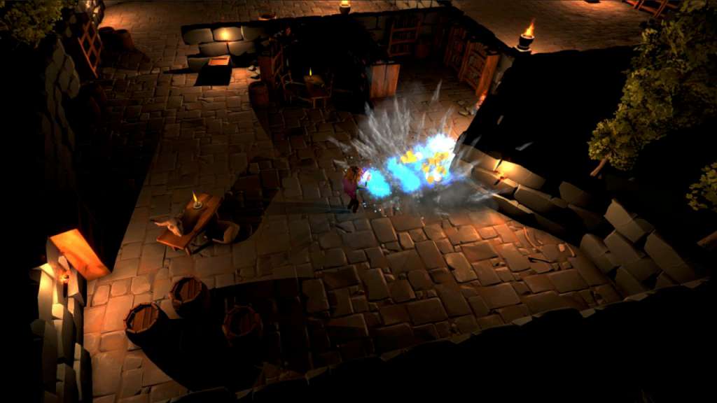 Fallen Mage PC Steam CD Key