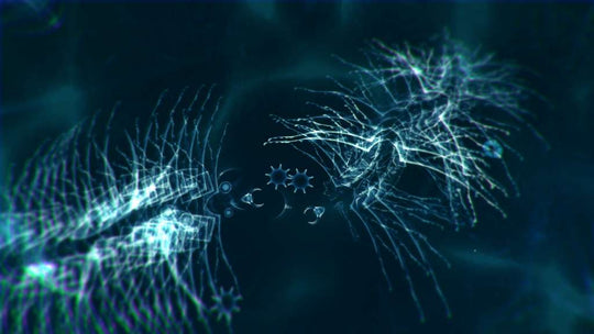 The Sparkle Bundle Steam CD Key