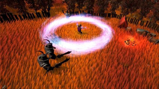 Fallen Mage PC Steam CD Key