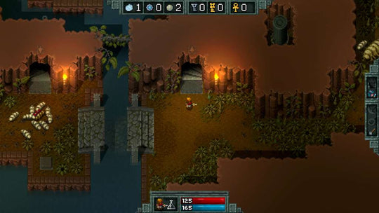 Hammerwatch Steam CD Key