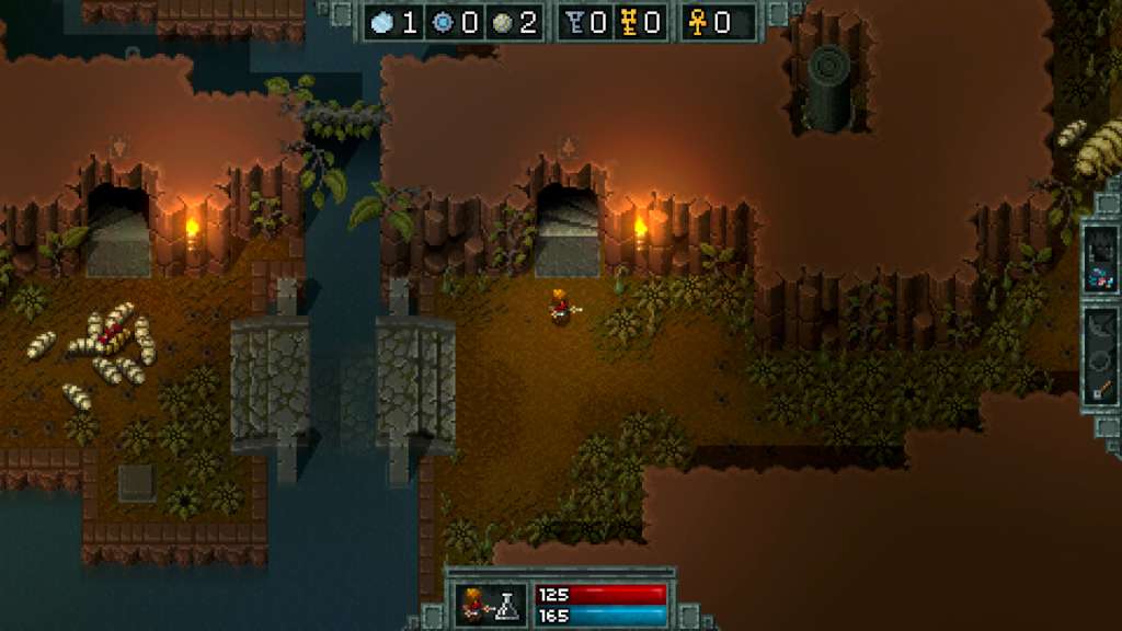 Hammerwatch EU Steam CD Key