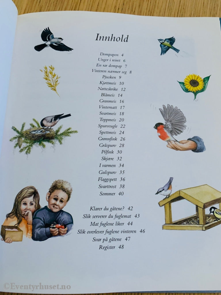 Vinterfugler. 2000. Fortelling